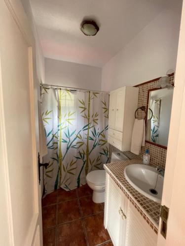 La salle de bains est pourvue de toilettes et d'un lavabo. dans l'établissement Casa Heydi, à Breña Alta