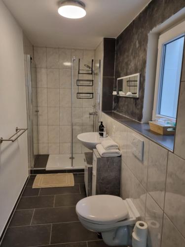 La salle de bains est pourvue de toilettes, d'un lavabo et d'une douche. dans l'établissement Appartment im Untergeschoss, à Freilassing