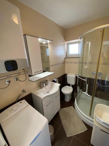 a bathroom with a sink and a toilet and a shower at Tessitura Murter apartman in Murter