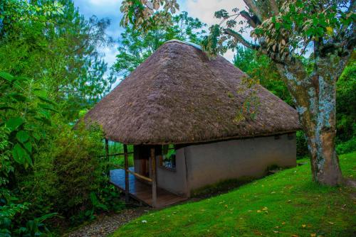 a small hut with a thatched roof in the grass at Sharp Island Gorilla Lodge, Lake Bunyonyi in Kashasha