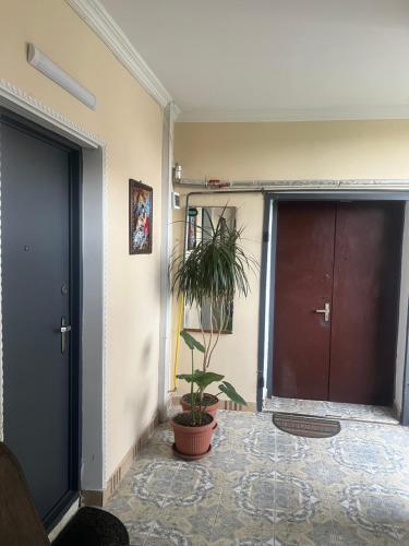 Fotografie z fotogalerie ubytování Apartment George v destinaci Kutaisi