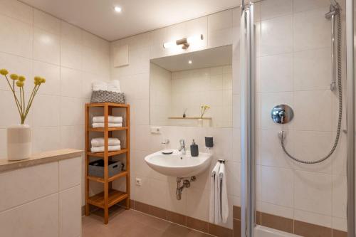 La salle de bains est pourvue d'un lavabo et d'une douche. dans l'établissement Bergviewhaus Apartments, à Söll