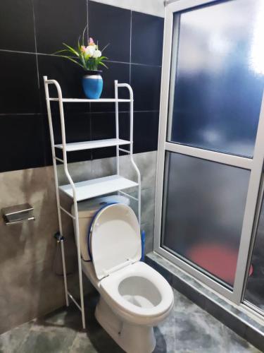 a bathroom with a toilet and a plant on a shelf at VaanaKabod in Kampala