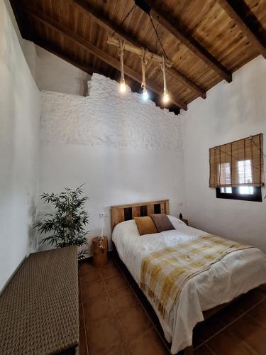 a bedroom with a bed and a potted plant at Mi pequeña Abril in Grazalema
