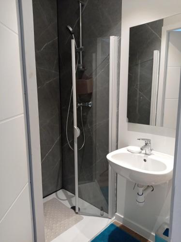 une salle de bain avec douche et lavabo dans l'établissement Ty Kerleguer, à Brest