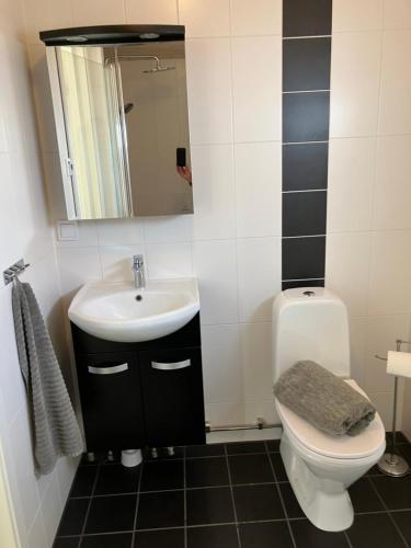 La salle de bains est pourvue d'un lavabo, de toilettes et d'un miroir. dans l'établissement Eget gästhus i västkustpärlan Skärhamn, à Skärhamn