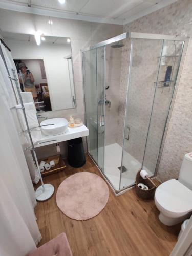uma casa de banho com um chuveiro, um WC e um lavatório. em Sossego na cidade em Viseu