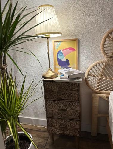 une lampe assise sur une commode à côté d'une plante dans l'établissement Joli T1 bis 15 min à pied du lac, au Bourget-du-Lac