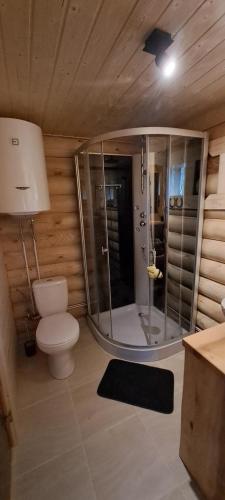 un bagno con wc e doccia in vetro di Imantas guļbaļķu namiņš ar pirti a Salacgrīva