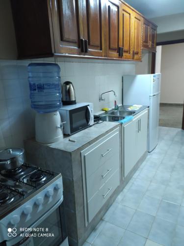 una cucina con lavandino, piano cottura e frigorifero di Amplio apartamento a pasos de los principales centros de compras a Ciudad del Este