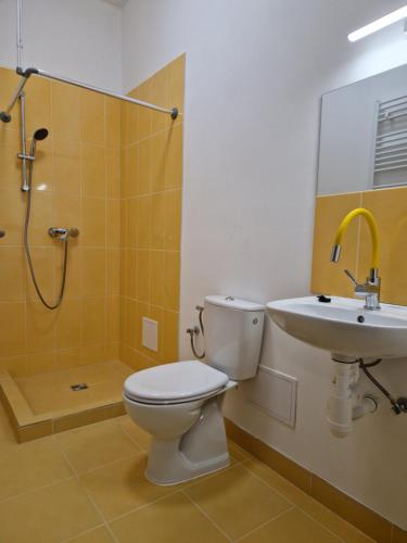 y baño con aseo, lavabo y ducha. en Cukmantl Apartments, en Jeseník