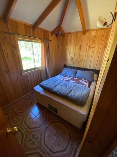 1 dormitorio con 1 cama en una habitación de madera en Cabaña en Malalcahuello, en Malalcahuello