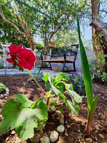 a garden with a bench and a red flower at Studio Apartment FortyOne in Orebić
