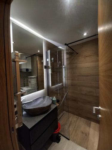 een badkamer met een wastafel en een douche bij Ema Lux in Zlatibor