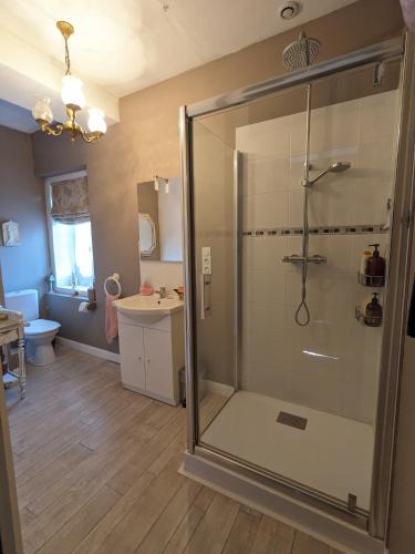 une salle de bain avec une douche avec des toilettes et un lavabo dans l'établissement Sweeting's B & B Chailland, à Chailland