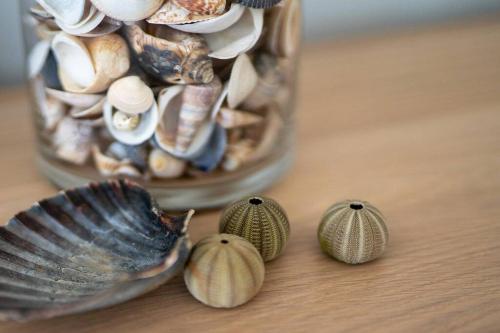 a jar filled with shells on top of a table at Kalang BnB St Helens in St Helens