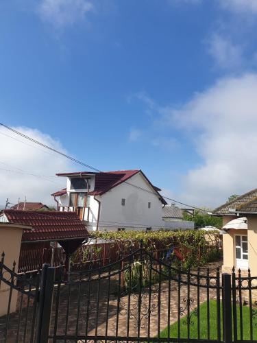 a black fence in front of a house at Vodita in Filiaşi