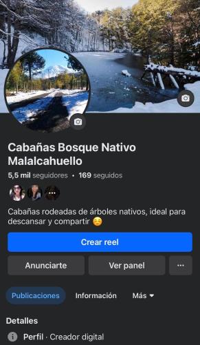 a screenshot of a website with a picture of a river at Refugio en Malalcahuello in Malalcahuello