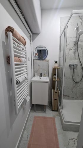 une salle de bain blanche avec un lavabo et une douche dans l'établissement Le Charme Rosé, à Villejuif