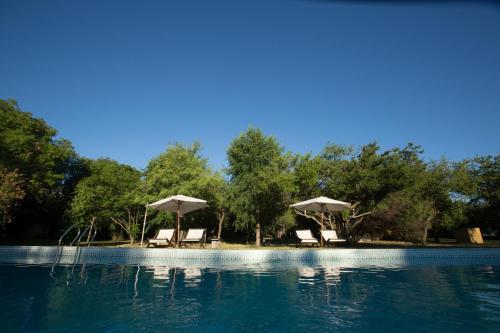 a swimming pool with two umbrellas and chairs and trees at Las Nubes Apart in Merlo