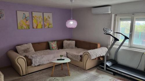 a living room with a couch and a treadmill at Melisa Apartment Sarajevo in Sarajevo