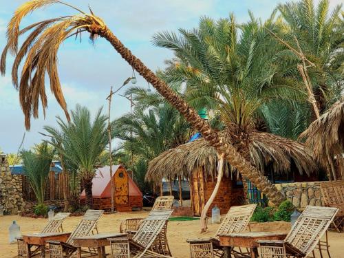 a group of tables and chairs under a palm tree at Marassina camp in Siwa