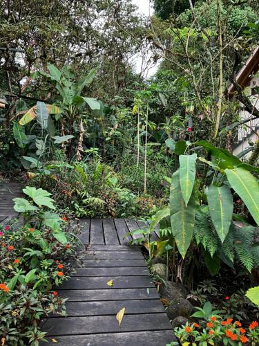 a wooden walkway in a garden with plants and trees at Casa del Rio en MINDO in Mindo