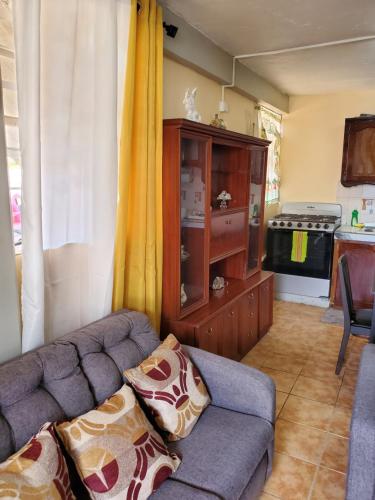 ein Wohnzimmer mit einem Sofa und einer Küche in der Unterkunft Lind's comfort place in Roseau