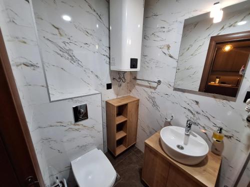 ein Badezimmer mit einem Waschbecken, einem WC und einem Spiegel in der Unterkunft Apartmani Fantasia Cetinje in Cetinje