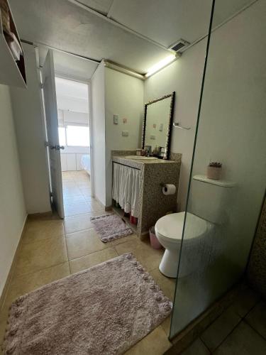bagno con servizi igienici, lavandino e specchio di Apartamento céntrico en porlamar a Porlamar