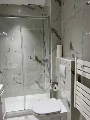 une salle de bain blanche avec douche et toilettes dans l'établissement Quartierlatin apartment, à Paris