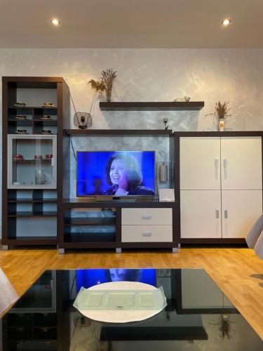 Il comprend un salon doté d'une télévision à écran plat. dans l'établissement Denis Apartment, à Ždrelac