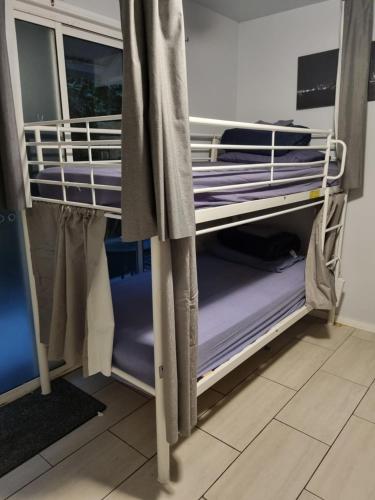a bunk bed in a room with purple bunk beds at Hostel-Style GUESTHOUSE - for 18-35yrs in Caloundra