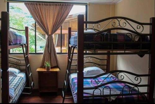 een slaapkamer met 2 stapelbedden en een raam bij Hotel Anita in Mindo