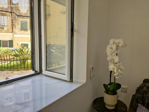 a flower in a vase on a window sill at Lusso di Campiello in Corfu Town