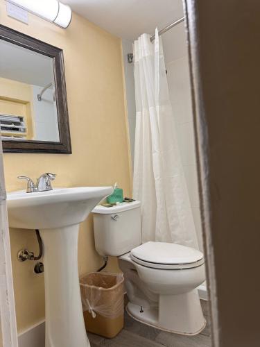 a bathroom with a toilet and a sink and a mirror at The Boards AC in Atlantic City