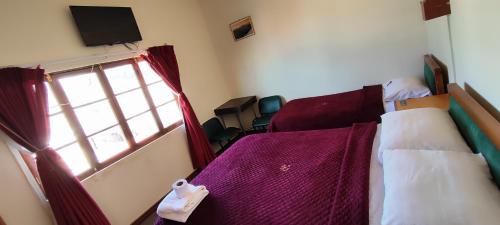um quarto de hotel com uma cama e uma janela em Hotel Don Nelo em La Paz