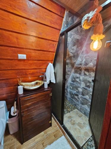 a bathroom with a shower and a toilet in a room at Betulio's Oasis in Fortuna