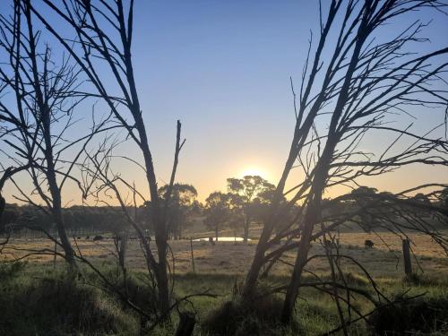 a sunset in a field with trees in the foreground at The Barn, Nungurner in Nungurner