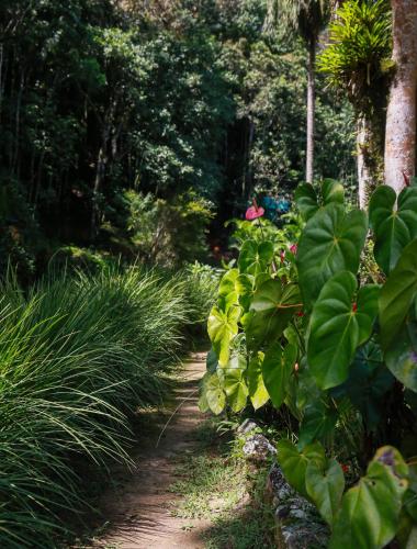 Jardín al aire libre en Chalé Shakti