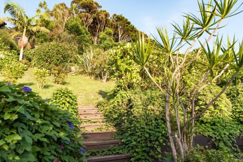 a garden with a wooden stairway with trees and bushes at Seabeds in Paihia