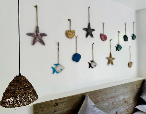 a wall with a bunch ofautical items hanging on a wall at 蓝色引力潜水度假村BLUE GRAVITY.WOW DIVING in Panglao