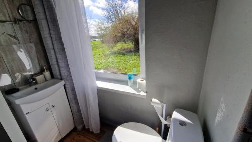 a bathroom with a toilet and a sink and a window at Ķēniņi 