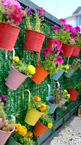 a bunch of potted plants hanging on a wall at Efe Tiny House in Serik