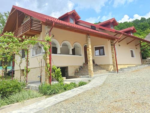 a house with a red roof at Casa Hera in Călimăneşti
