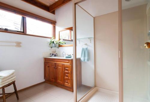 a bathroom with a shower and a sink at Coota Views in Mallacoota