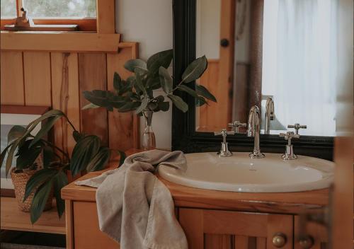 a bathroom sink with a mirror and a plant at Waterfront - Bluff Beach House, Park Beach in Dodges Ferry
