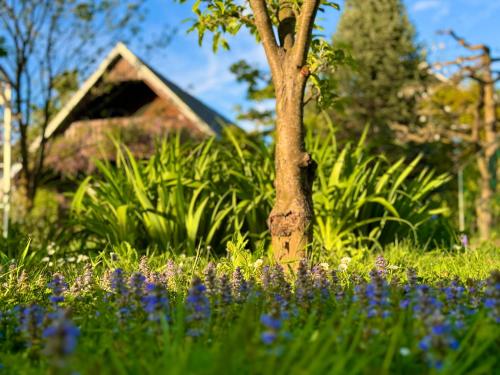 a tree in the middle of a garden with purple flowers at Green Oasis Garden in Šenčur