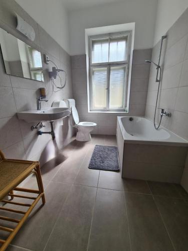 a bathroom with a tub and a toilet and a sink at Vila Gorenka in Bled