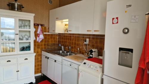 a small kitchen with a sink and a counter at Grand Appartement La Source d'Evian in Évian-les-Bains
